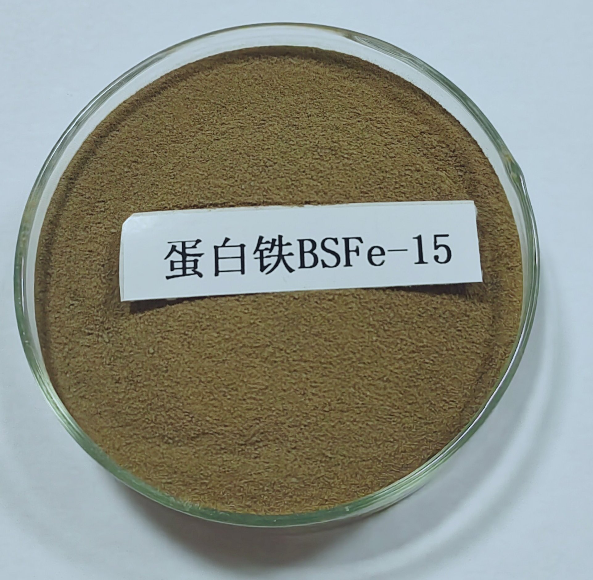 蛋白鐵BSFe-15_20230811104335_1_proc.jpg