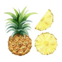 發酵菠蘿渣