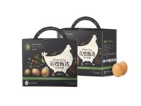 品牌蛋方案