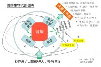 品牌豬肉方案