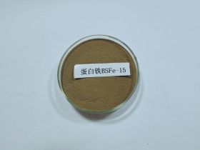 蛋白鐵