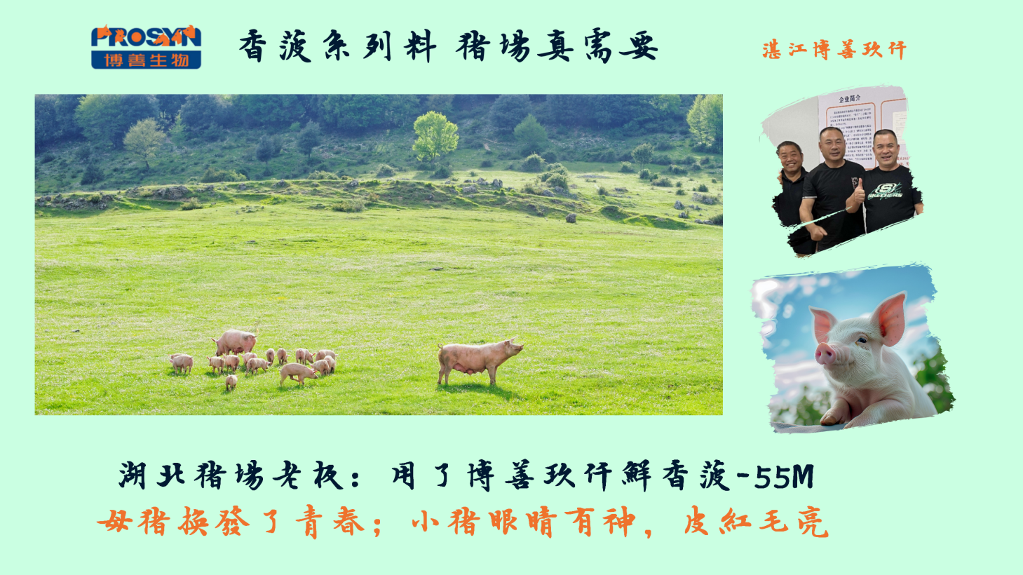 微信圖片_20241113105303(1).png